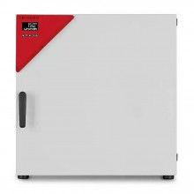 Сушильный сухожаровой шкаф-стерилизатор BINDER FD 115 Avantgarde.Line (принудительная конвекция, 116 л, до +300 °C)