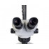 Микроскоп бинокулярный Микромед MC-4-ZOOM LED (стереоскопический) Микроскоп бинокулярный Микромед MC-4-ZOOM LED (стереоскопический)